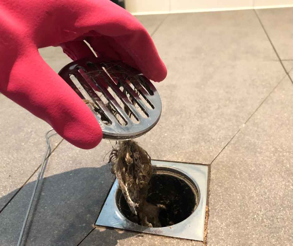 A shower drain clogged with hair